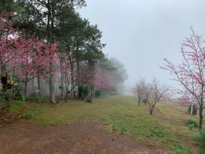 Rancho La Vereda